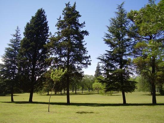 מלון Mariapolis אלטה גרסיה מראה חיצוני תמונה